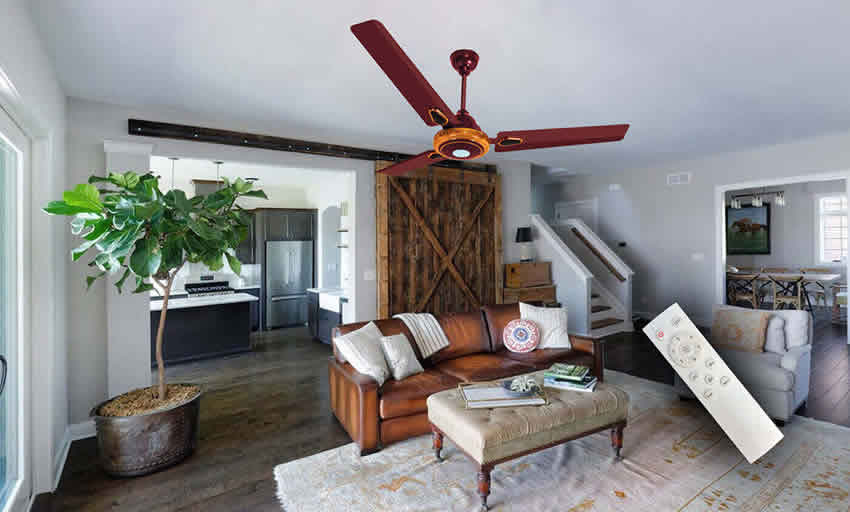 BLDC Ceiling Fan