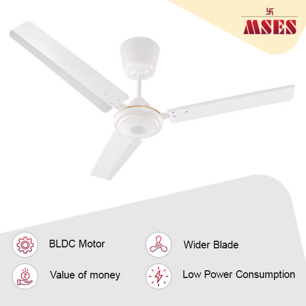 Trandy Future Oriented BLDC Ceiling Fan