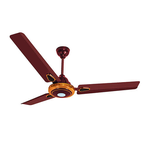 Trandy Premium Ceiling Fan