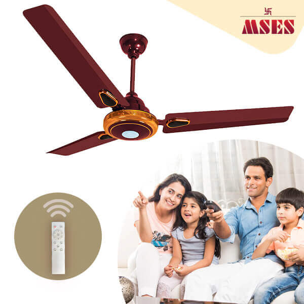 Trandy Premium BLDC Ceiling Fan