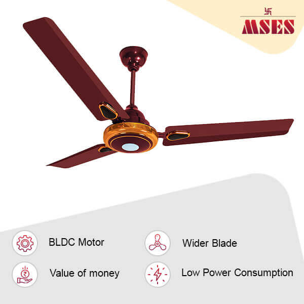 Trandy Premium BLDC Ceiling Fan