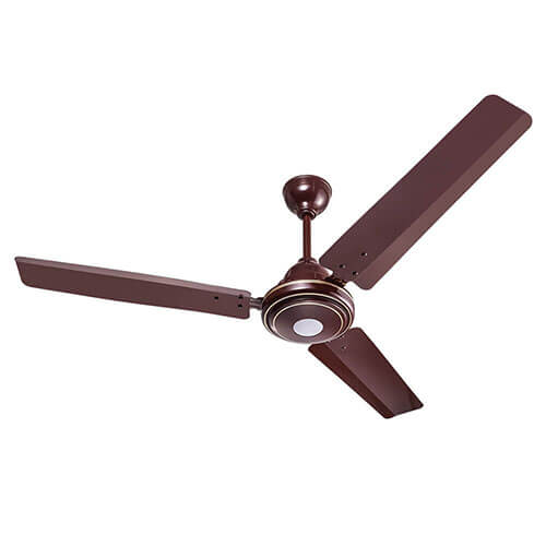 trandy Ceiling Fan