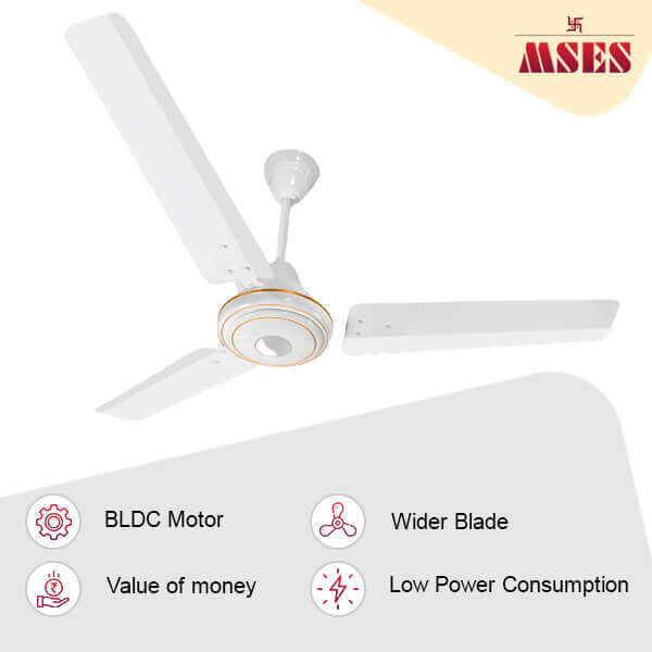 Trandy BLDC Ceiling Fan