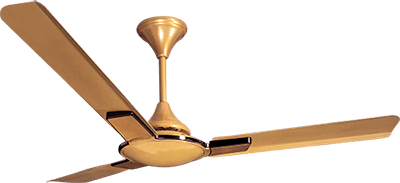 Ceiling Fan Manufacturer